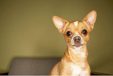 B社开发《星战》游戏？传B社正开发迪士尼IP